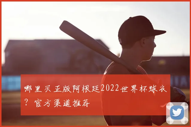 哪里买正版阿根廷2022世界杯球衣？官方渠道推荐