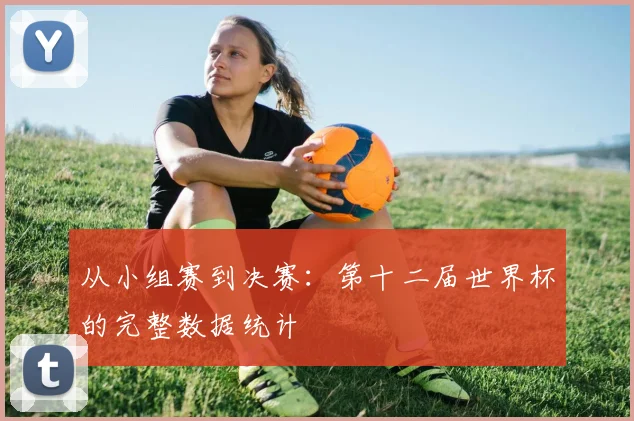 从小组赛到决赛：第十二届世界杯的完整数据统计
