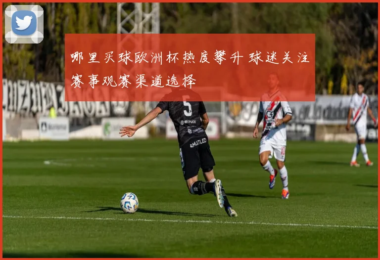 哪里买球欧洲杯热度攀升 球迷关注赛事观赛渠道选择