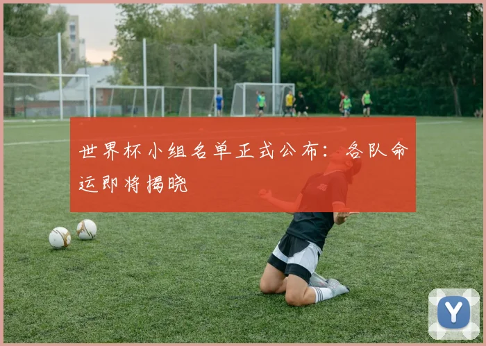 世界杯小组名单正式公布:各队命运即将揭晓