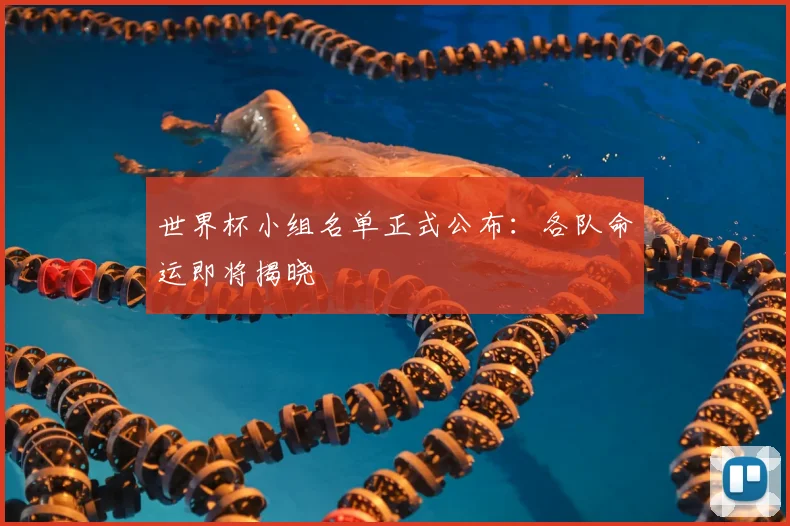 世界杯小组名单正式公布：各队命运即将揭晓
