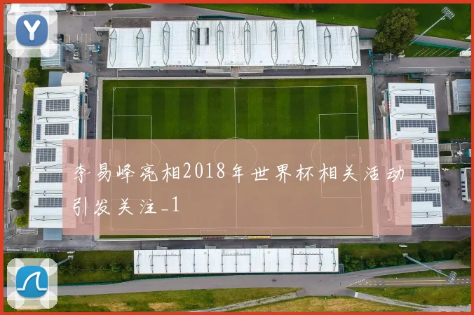 李易峰亮相2018年世界杯相关活动引发关注_1