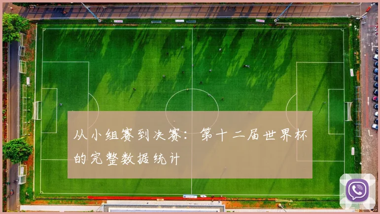 从小组赛到决赛:第十二届世界杯的完整数据统计