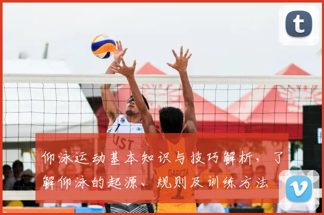 仰泳运动基本知识与技巧解析，了解仰泳的起源、规则及训练方法