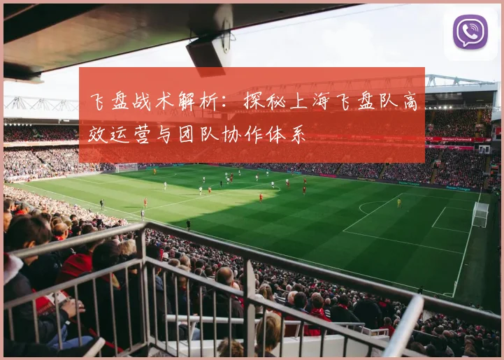 飞盘战术解析：探秘上海飞盘队高效运营与团队协作体系